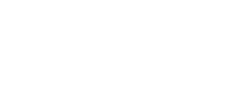 Dott